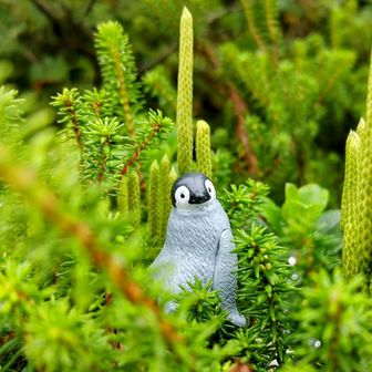 ねがかる  あさ美