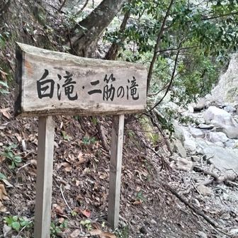 マイナスイオンだらけ