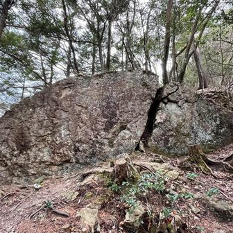 裂けた岩、なんか良い名前が付けれないかな^ ^