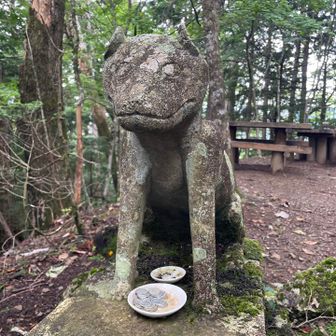 おおかみこまいぬ