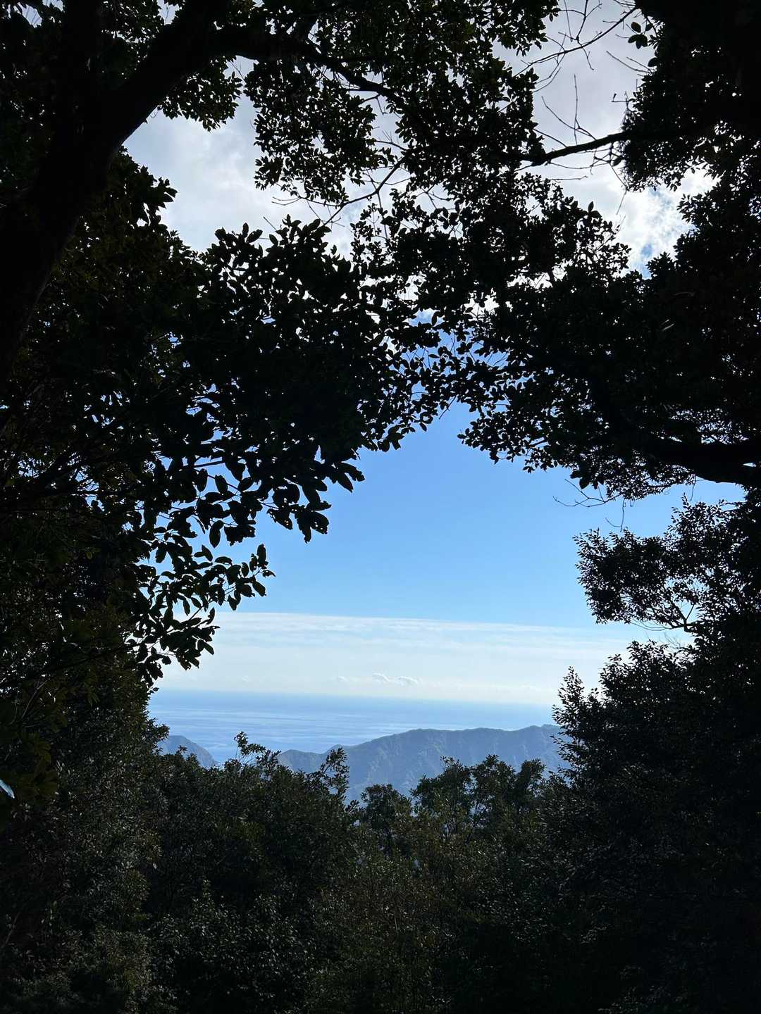 オロチ山からの眺望😊