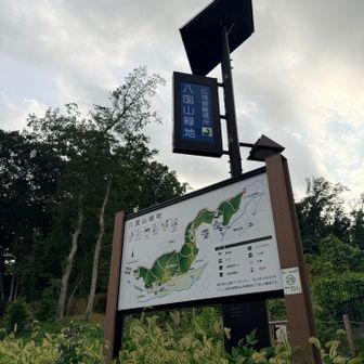 八国山緑地