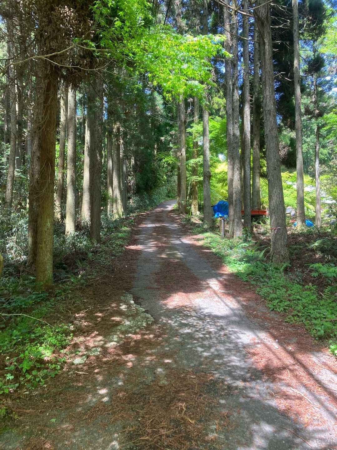 お疲れ山でした〜⛰️