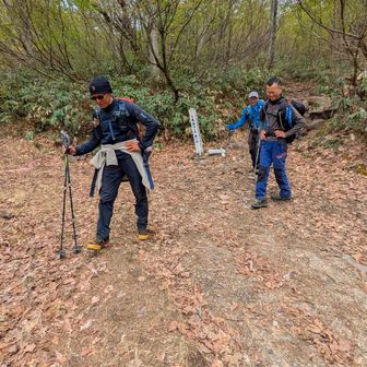 五合目で少し休憩して4人でずっと話しをしながら無事登山口、、兵庫から来た方、千葉から来られたお2人の方々、お疲れ様でした。