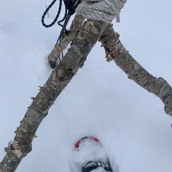 この辺に三角点