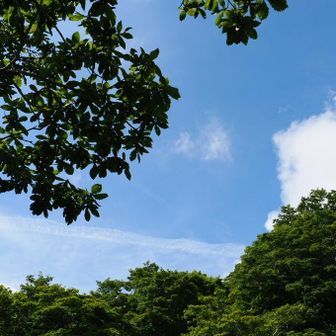 青空
