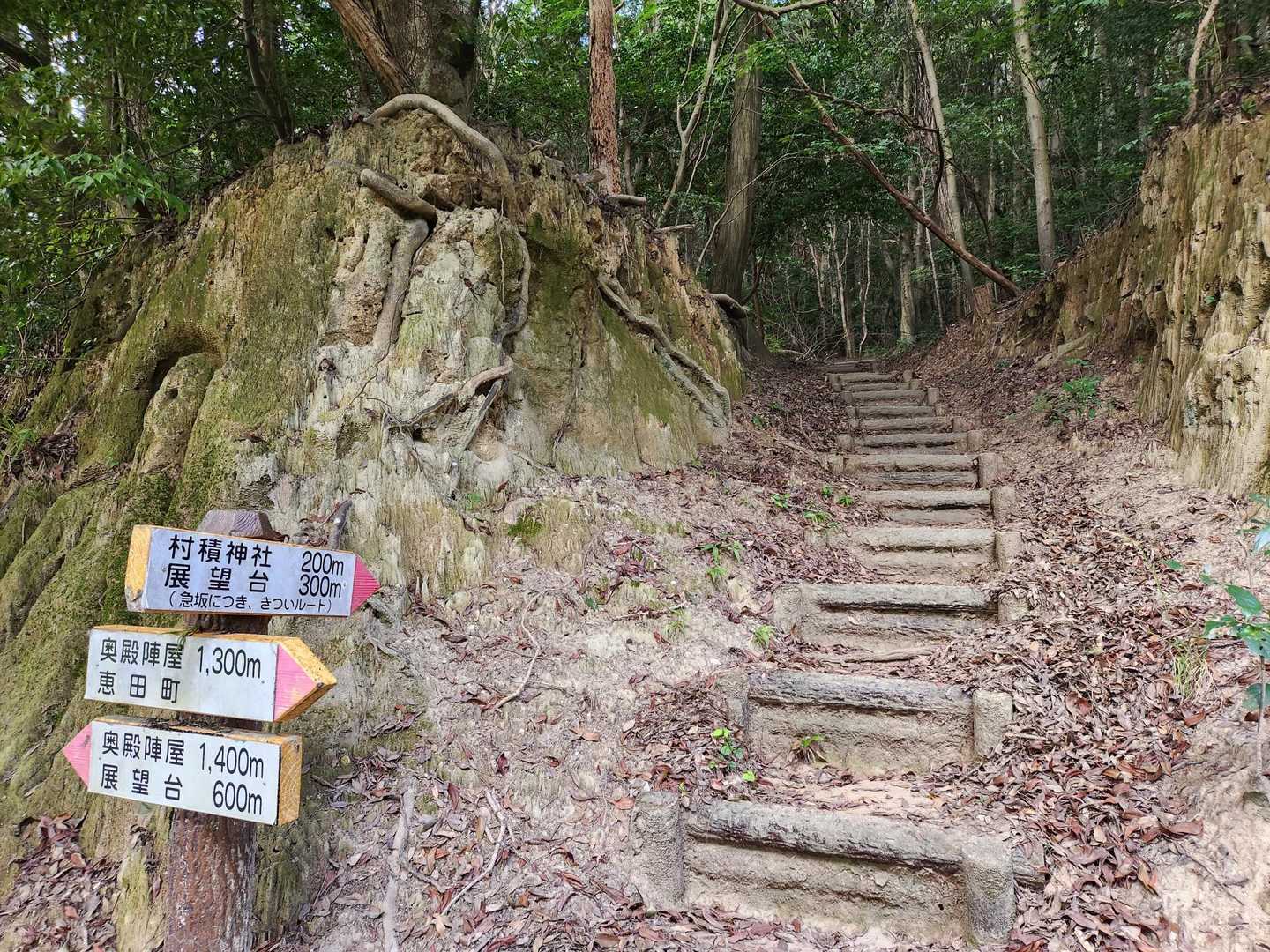 駐車場からの分岐
この階段を登り