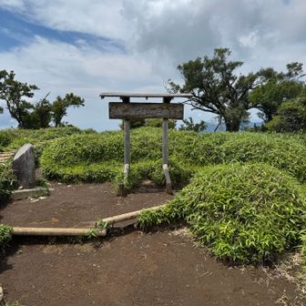 丹沢山。真夏の丹沢はここまでで充分です。曇るとかなり涼しいんですが。