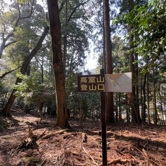 降りて来ました