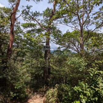 荒地山、登頂！