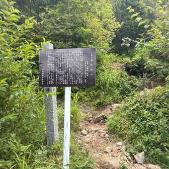 蛇峠山の看板。ここから更に進んでいくよ。