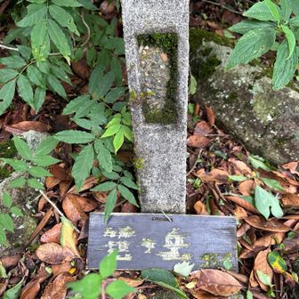 笹岳頂上に到着＼( ´･ω･`)┐