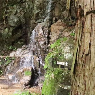 御滝にご挨拶