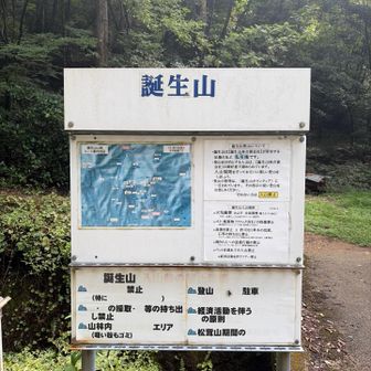 随分悩んで迷って🌀
雨上がるのを待って来ました…