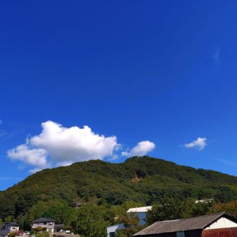 両下肢が吊り始めたので、終了。無事に下りてきました☺️杉山⛰️から先の高丸はまた今度。鴨方駅を目指して歩きます😊
今日も素晴らしい山歩ができました。感謝です✨️