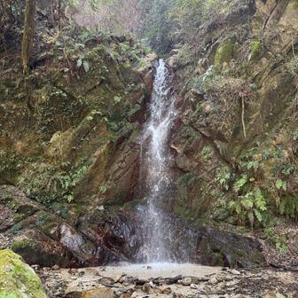 櫛羅の滝
何度か大和葛城山に来ていて今回初めて観られた