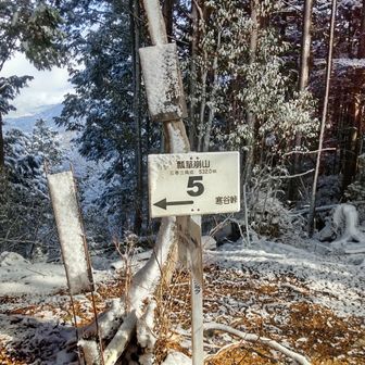 開けた気持ちのよい山頂