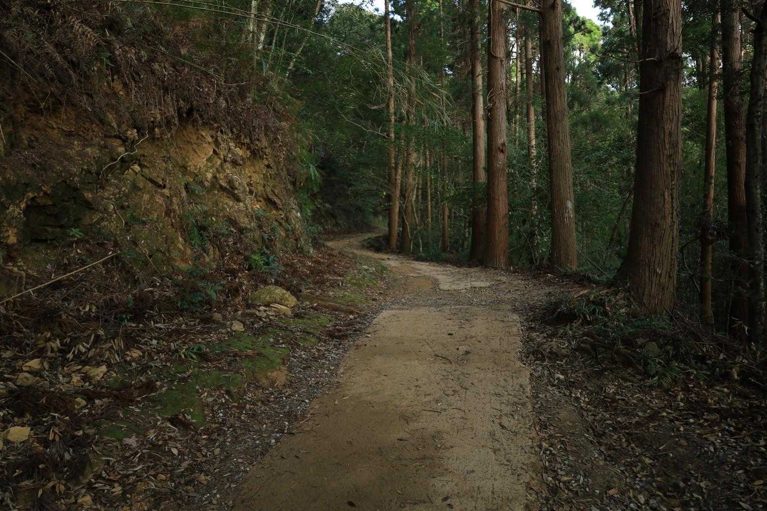こんな感じの道を登っていきます。
地元の方々とよくすれ違います😉