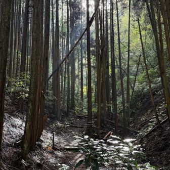 釜谷道登山口