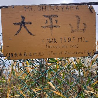 😼大平山登頂😼