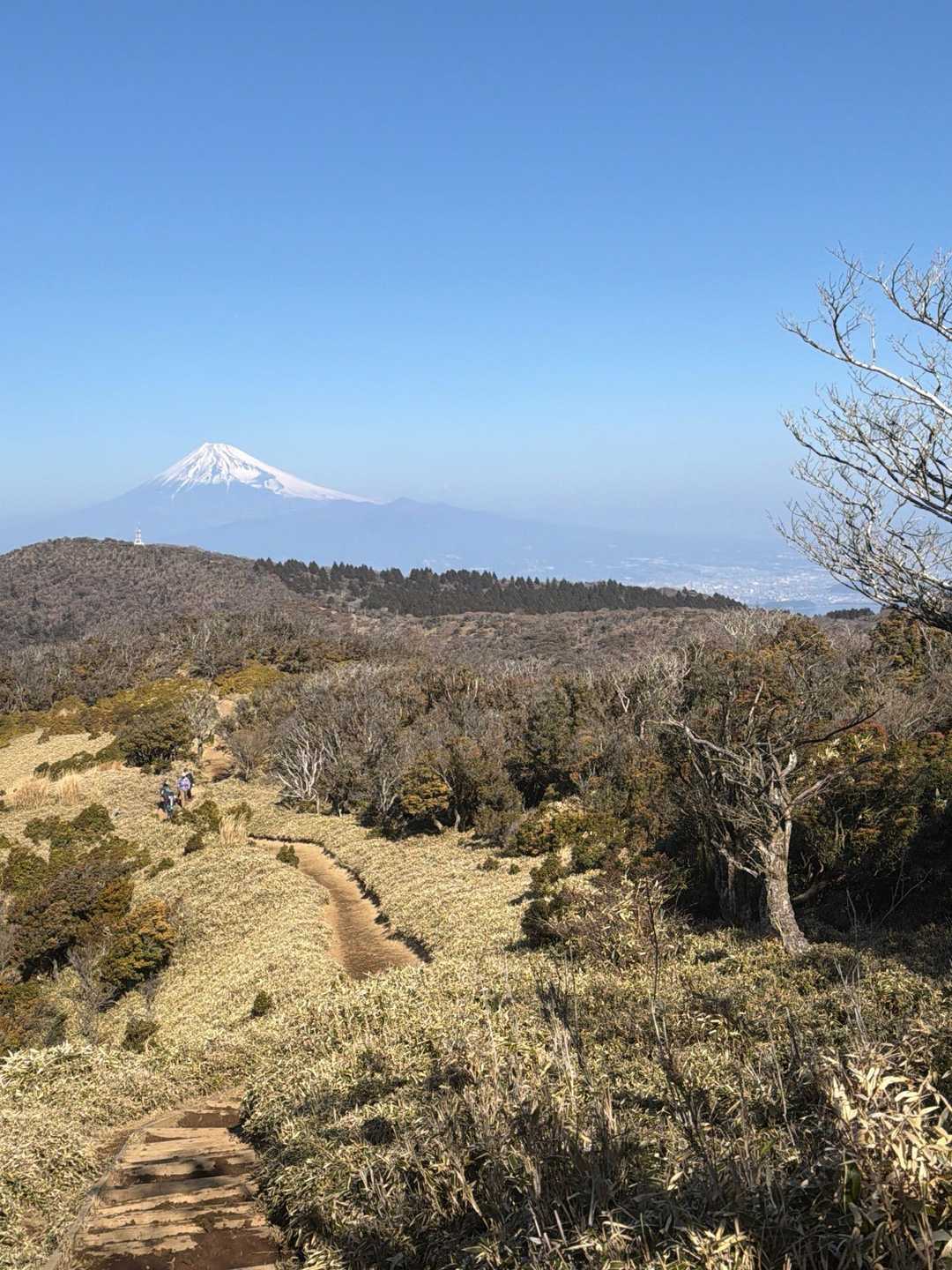 富士山と右手に駿河湾(淡島あたり)