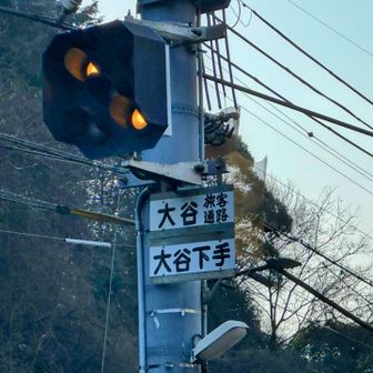 近くに大胆な看板「大谷下手」🤣