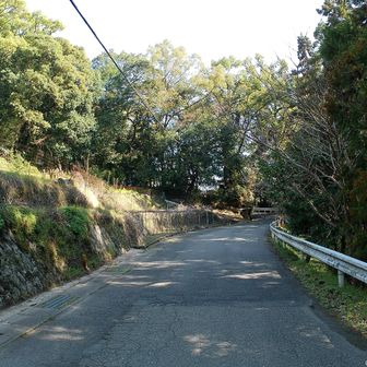 普通のアスファルトの道