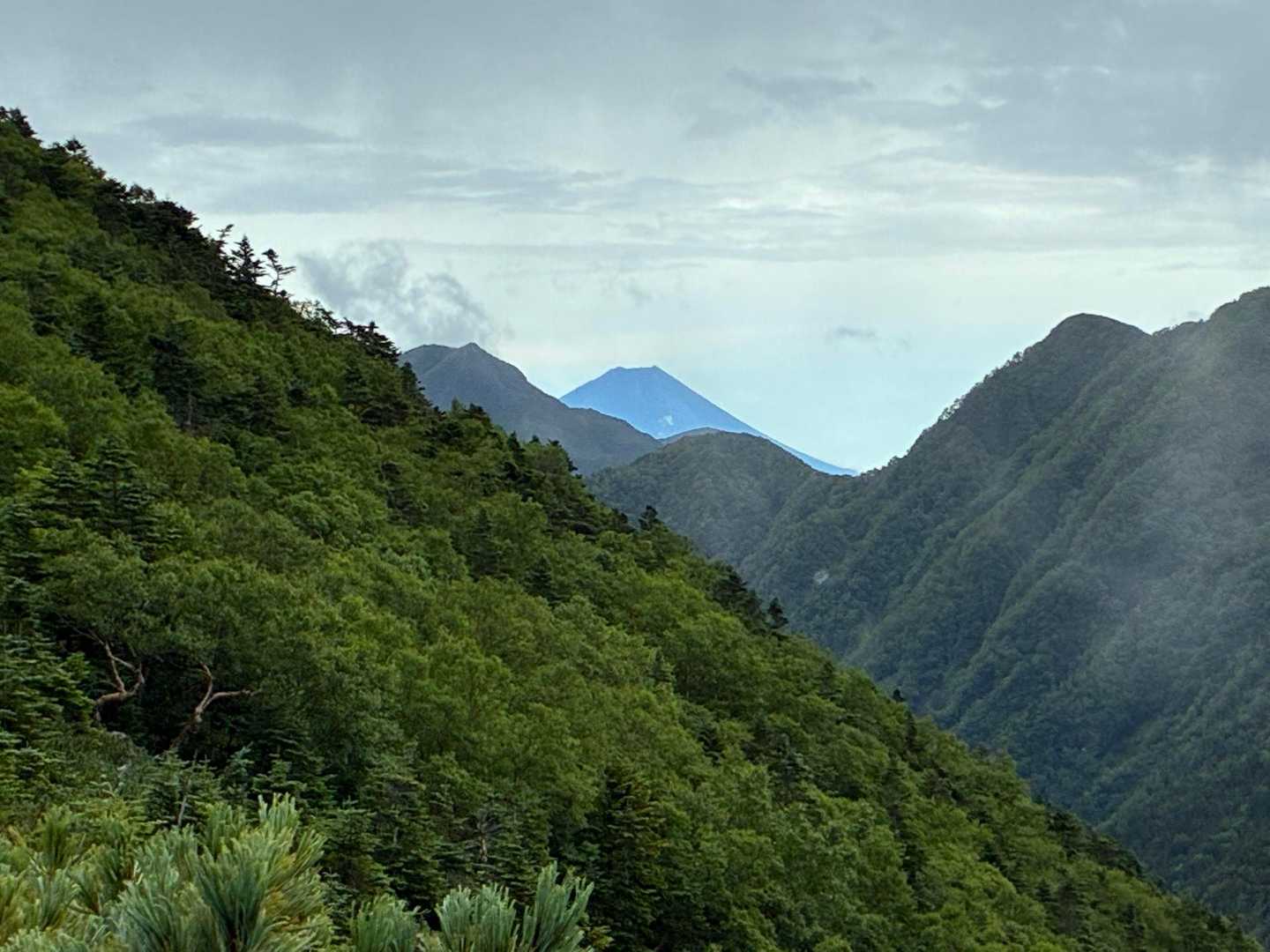 富士山まで見えた✨