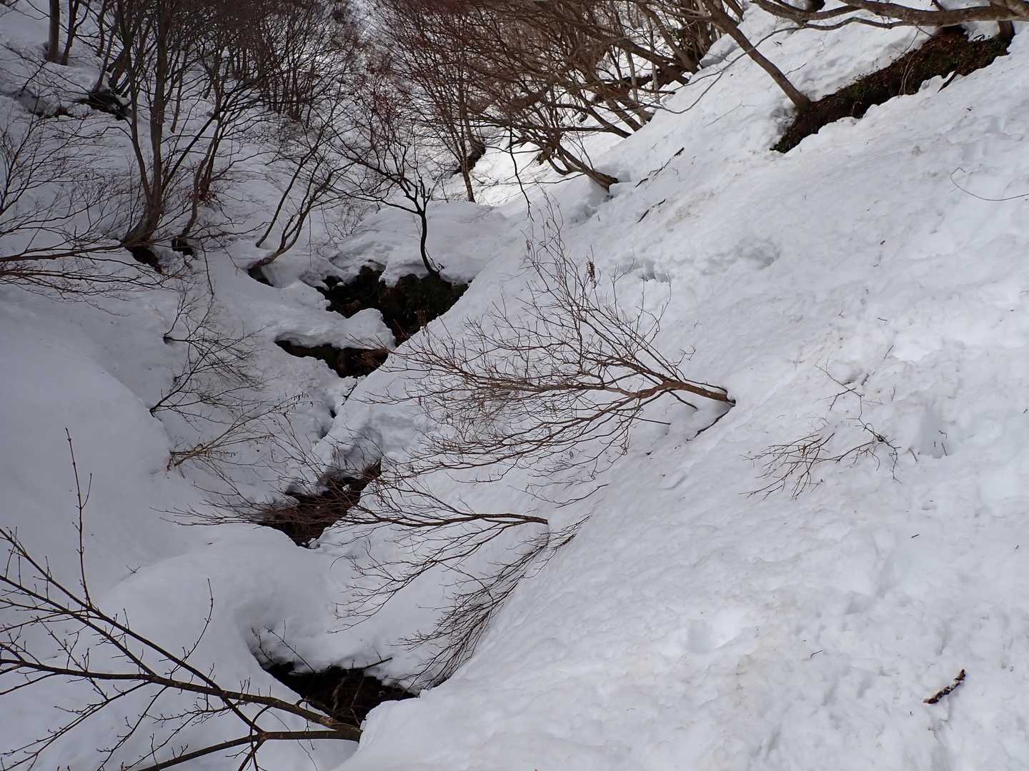 このあたりが、降りにくかった～
