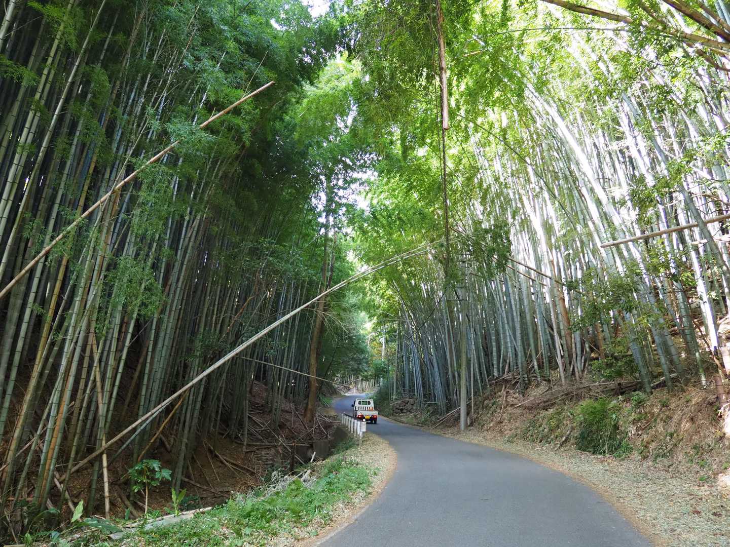 笹の道。結構立派だった。そして、どの道でも農家の車のすれ違いが多かったのが印章に残ってる。