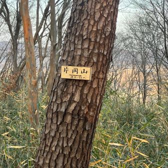 はい終わりました〜