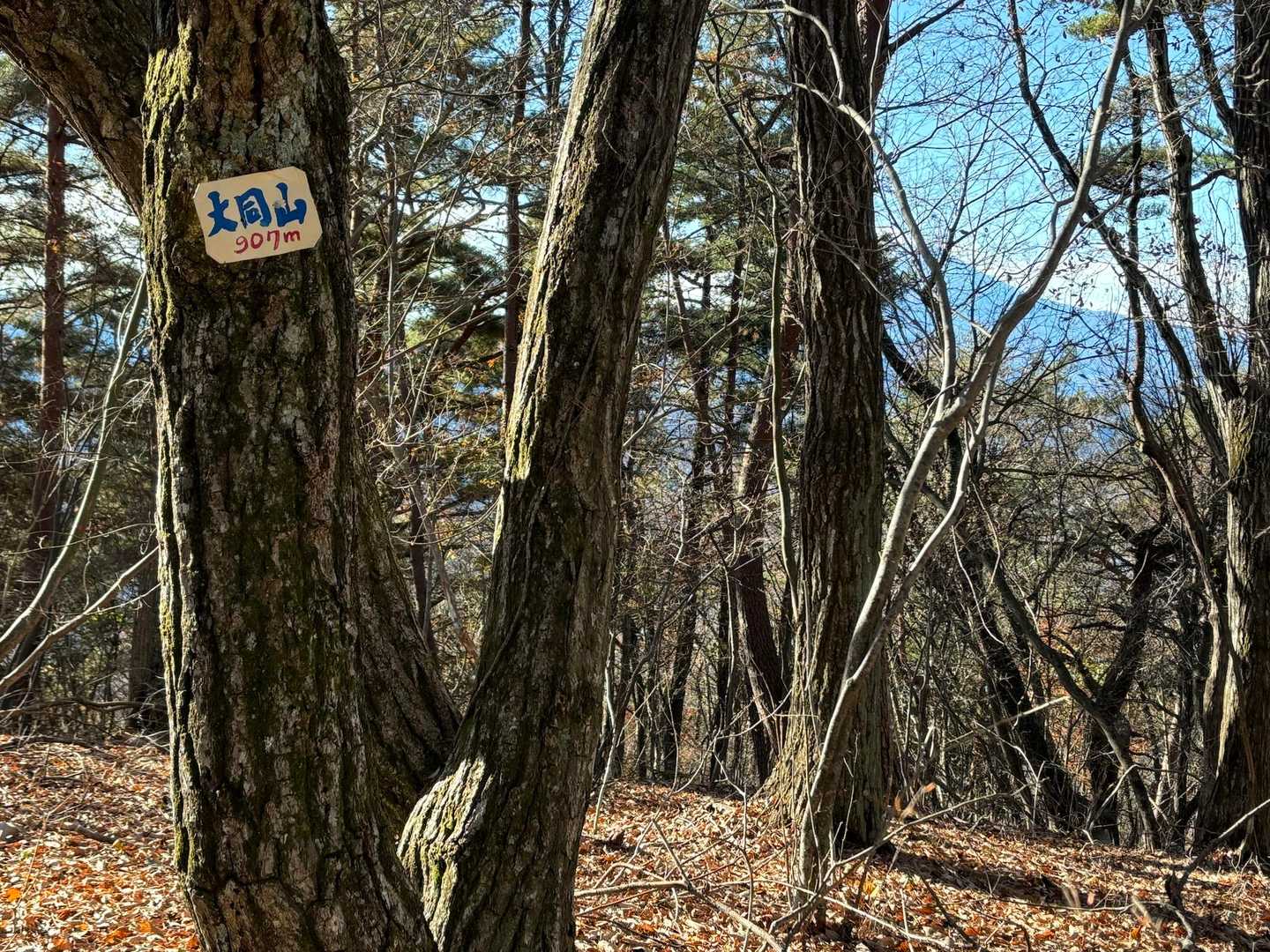 猿橋駅-百蔵山登山口バス停-百蔵山登山口-百蔵山-百蔵山登 往復コースの写真