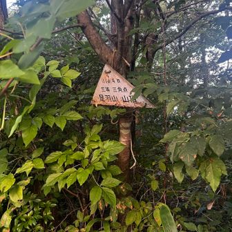 足羽山の三角点▲ 見つけられますかな？
