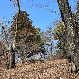 トーチャコ❣️
頂上直下の急坂を登りきると頂上、雷神神社⛩️⚡️が、思いの外広いです✌️😊