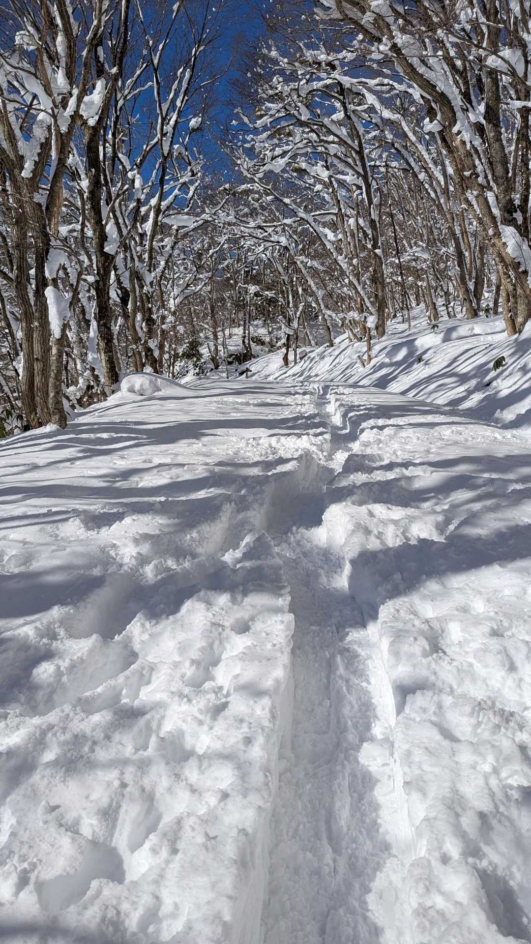 毛無山-出雲峠 周回コースの写真