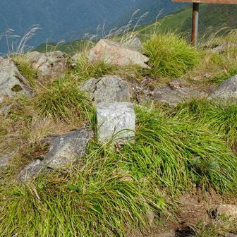 三角点。ここに三脚が置けます