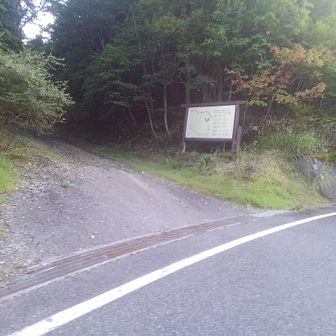 ヒルクライムピークの笠菅峠。
ファンライドではこのまま下っていきますが、YAMAPなので林道を登って泉山登山道入口まで散歩してみました。

泉山の登山では通常ここに駐車して登ることになります。
上手く駐車して5台駐車出来るかどうかのスペースです。