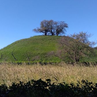 堀越しの丸墓山古墳