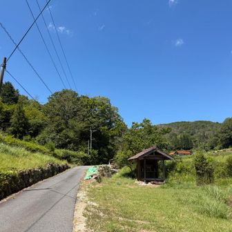 しばらくロード歩き🚶‍♀️💦