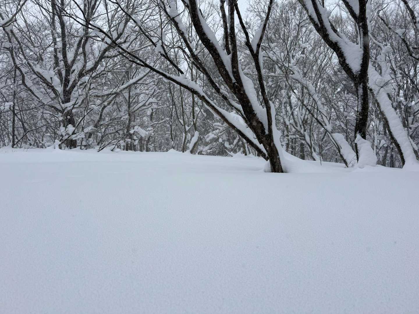 奴はどこだ