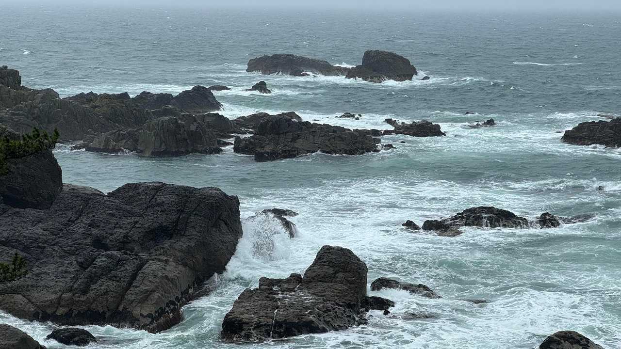 みちのく潮風トレイル（蕪島〜種差海岸）／青森遠征Day2 の写真 43
