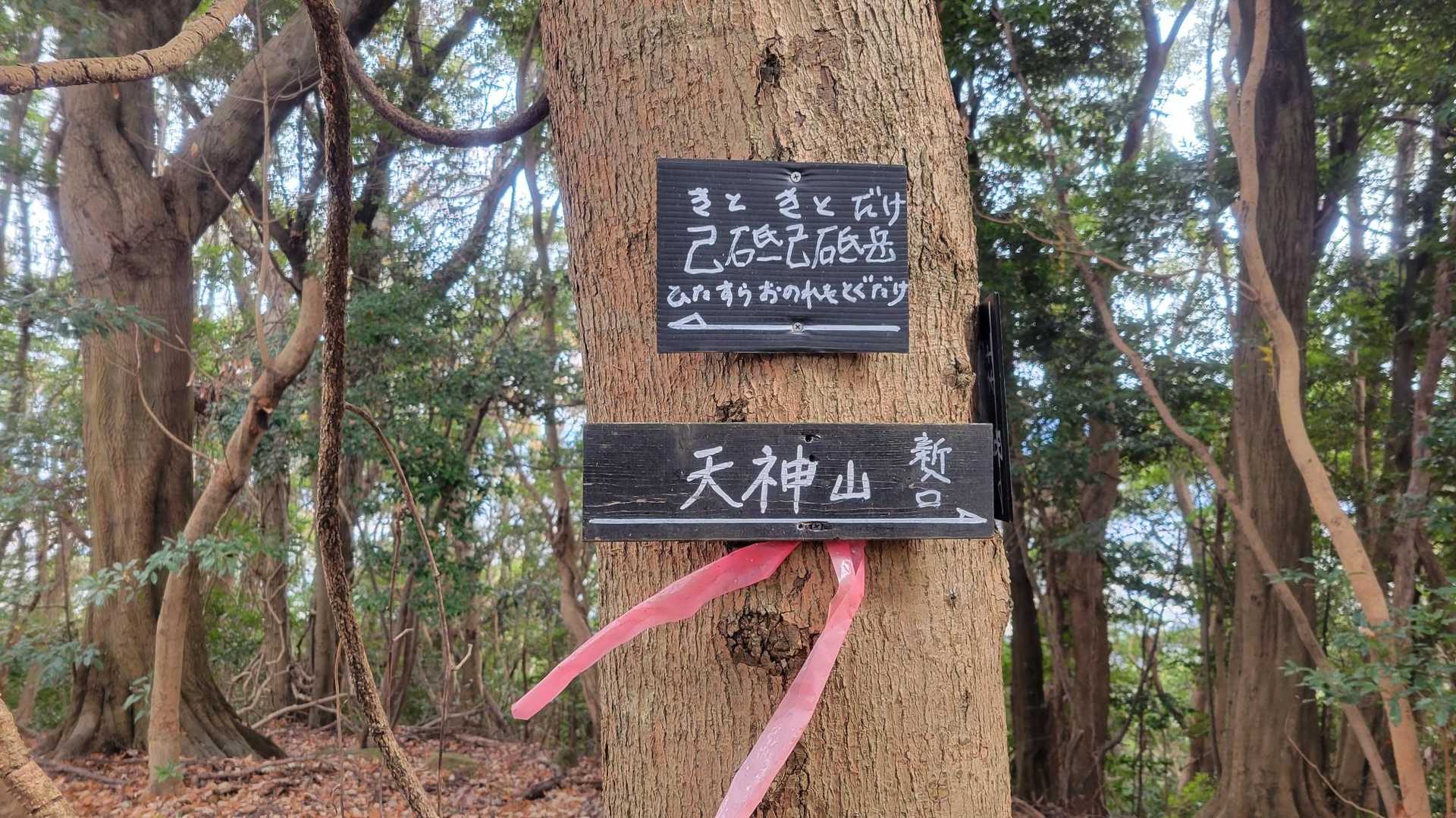 ⑲