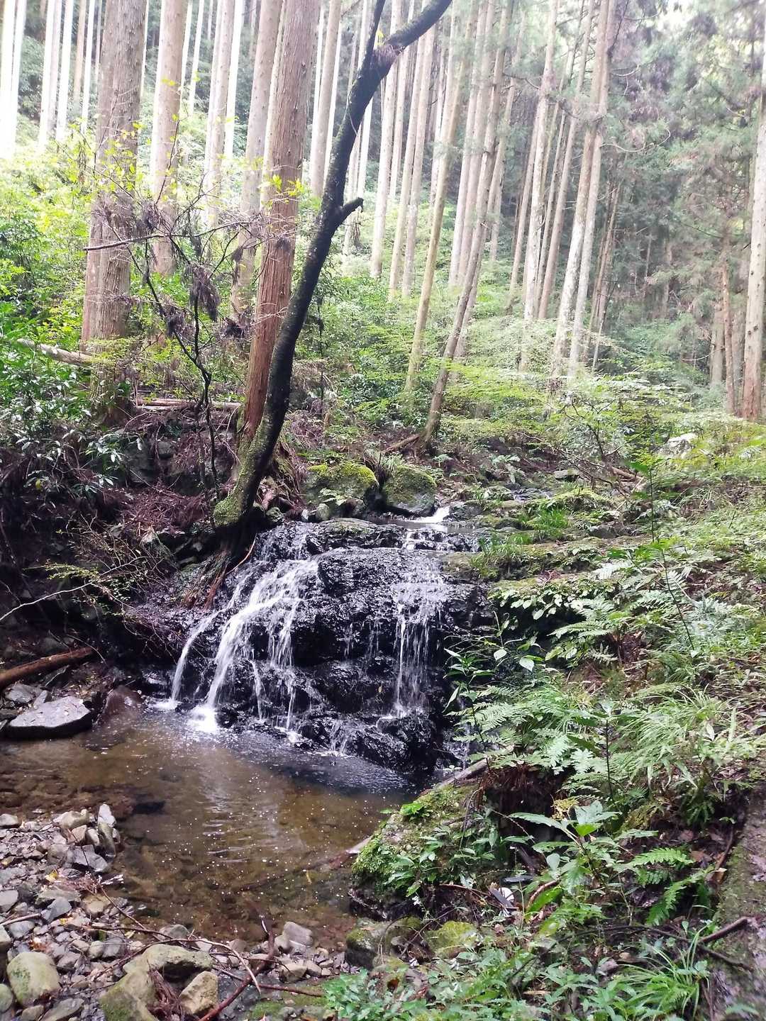 林道脇には川が流れ、小さな滝がいくつも続いている