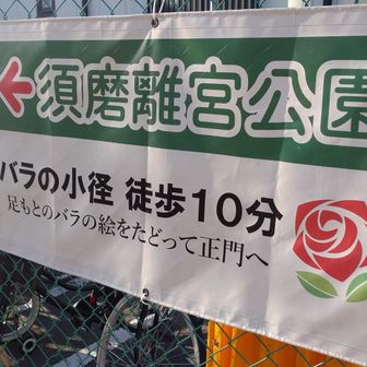 月見山駅から須磨離宮公園へは
バラの小径を辿ってゆきます。