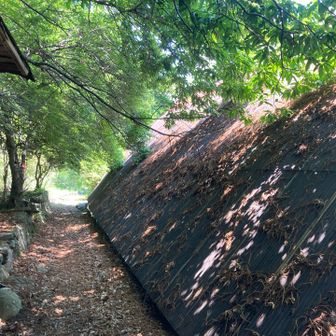 展望台で雨がポツポツ当たり始めてきたので、下山は駆け足！！

大子峠からすぐ下にある廃屋、この裏側を登山道は抜けていきます。