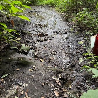 迂回ルートの化粧坂は水気が多い、でも20m程度。