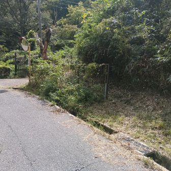 右の柵の横から入ると旗振山に行けるにゃ