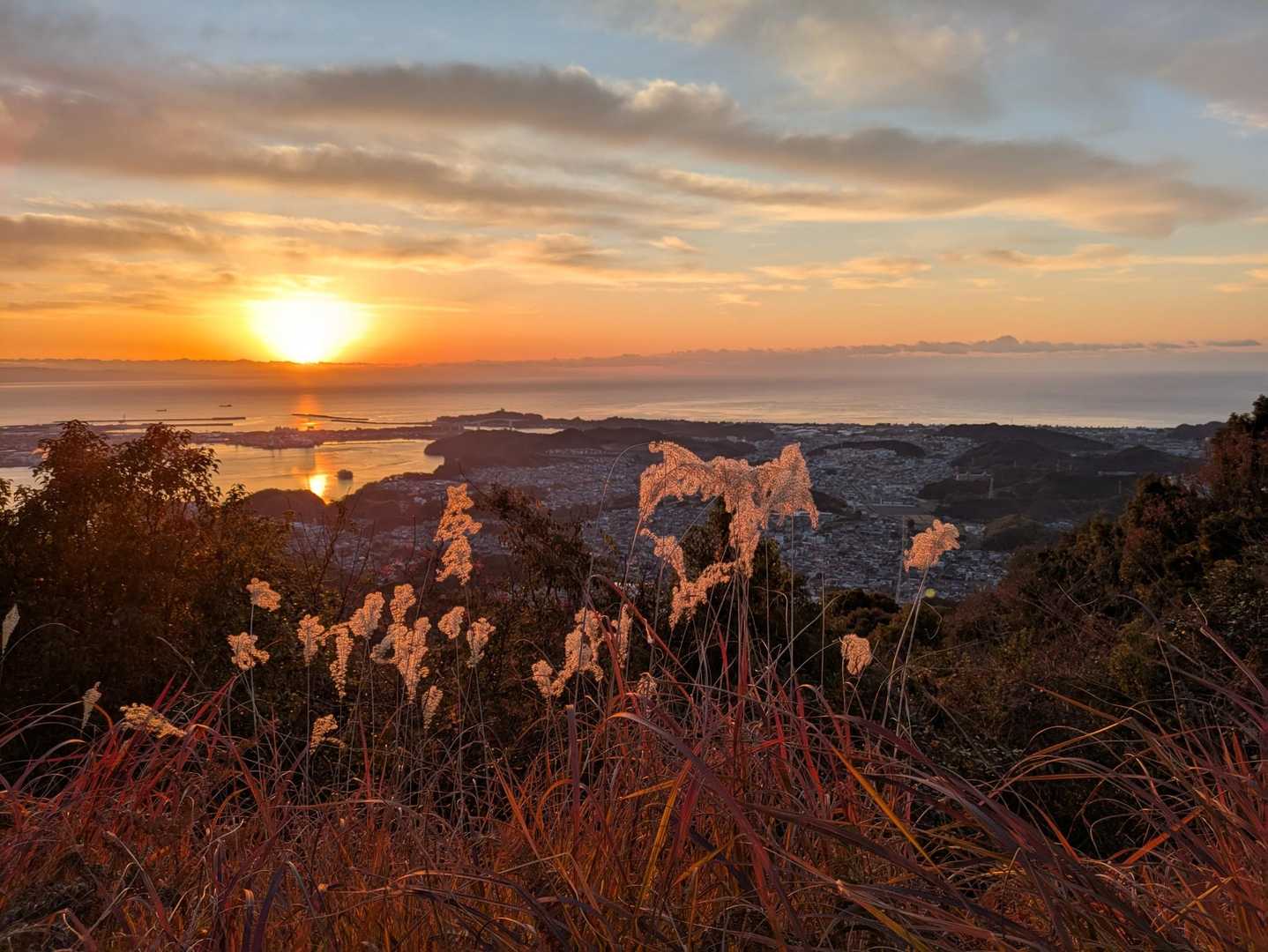 筆山登山口-皿ヶ峰-鷲尾山-烏帽子山 往復コースの写真