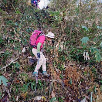 下りは滑るから注意⚠️