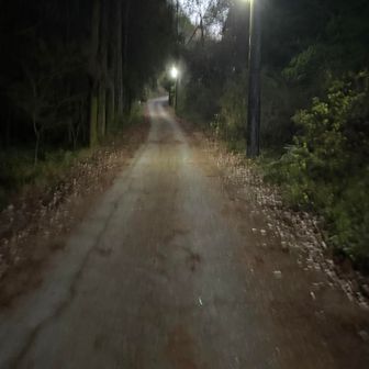 暗くなってきました